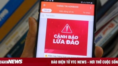 Ngân hàng Nhà nước thu thập khoảng 600.000 tài khoản có dấu hiệu lừa đảo