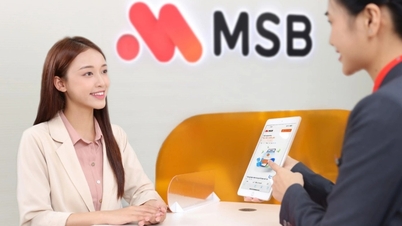 Cơ hội sở hữu nguồn vốn nhanh chóng với M-Fex dành cho doanh nghiệp