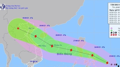 Chuyên gia nhận định về BÃO BUALOI - BÃO SỐ 10 và các chỉ đạo ứng phó