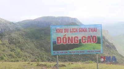 Dong Cao - a cloud hunting spot attracting tourists in Bac Ninh