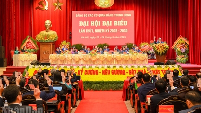 Đại hội đại biểu Đảng bộ các cơ quan Đảng Trung ương lần thứ nhất, nhiệm kỳ 2025-2030