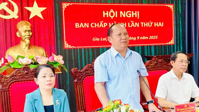 Đảng ủy Các cơ quan Đảng tỉnh Gia Lai triển khai nhiệm vụ quý IV-2025