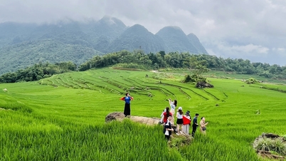 Welttourismustag 2025: Der Tourismus in Vietnam entwickelt sich in eine grüne und nachhaltige Richtung