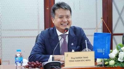 ຜູ້ອຳນວຍການ​ໃຫຍ່ WIPO ທ່ານ Daren Tang: ຫວຽດນາມ ພວມ​ຢືນ​ຢັນ​ກຳລັງ​ແຮງ​ຂອງ​ຕົນ​ກ່ຽວ​ກັບ​ຊັບ​ສິນ​ທາງ​ປັນຍາ