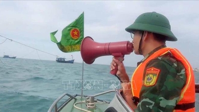 Quang Ngai pidió no ser subjetivo con la tormenta número 10