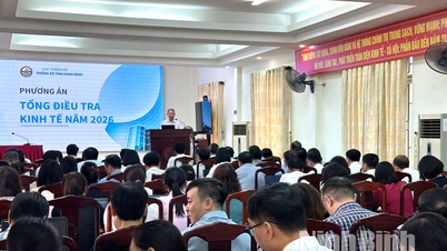 Triển khai tổng điều tra kinh tế năm 2026
