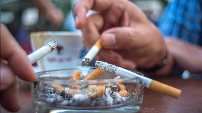 منظمة الصحة العالمية تشيد بإصلاحات فيتنام الضريبية على التبغ.