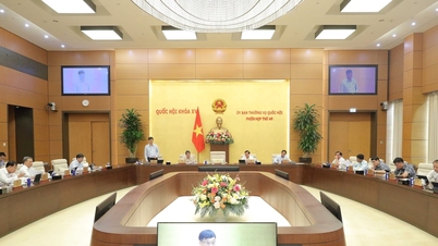 Thương mại điện tử hướng tới phát triển xanh