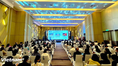 Đà Nẵng khẳng định vai trò mới trong hội nhập quốc tế giai đoạn 2025-2030