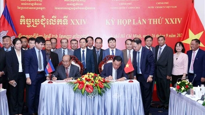 Esfuerzos coordinados para buscar y recoger los restos de los mártires vietnamitas que murieron en Camboya