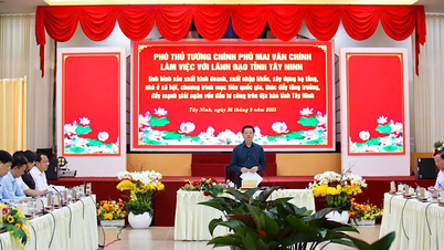 Phó Thủ tướng Mai Văn Chính: Tây Ninh cần nỗ lực phấn đấu đạt tăng trưởng 10% trong năm 2025