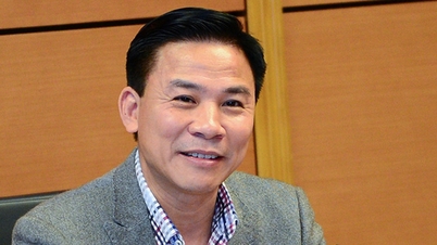Đề nghị Trung ương Đảng kỷ luật ông Đỗ Trọng Hưng