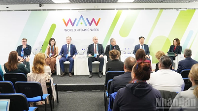 Vietnam contributes initiatives for green energy future at World Atomic Week 2025
