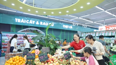 WinMart elevates the shopping experience with a series of new supermarket models