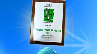 VIMC honored in the Top 25 leading listed company brands in 2025