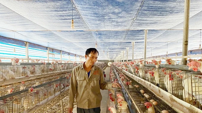 Agribank Tam Dao - saluran modal efektif untuk membantu petani pegunungan