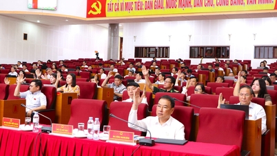 Passing 15 Resolutions at the 31st Session (Special Session) of the Provincial People's Council, term XV, 2021 - 2026