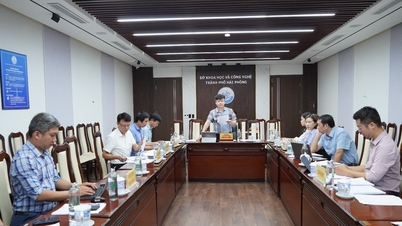 Soutenir la protection, la gestion, l'exploitation et le développement des marques collectives « Hoa Anh Tu » et « Oi An Hoa »