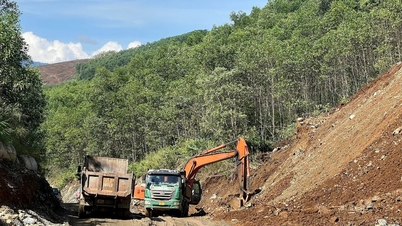 Bauamt von Danang leitet Reaktion auf Sturm Bualoi