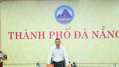Da Nang focuses on responding to storm No. 10 (storm Bualoi)