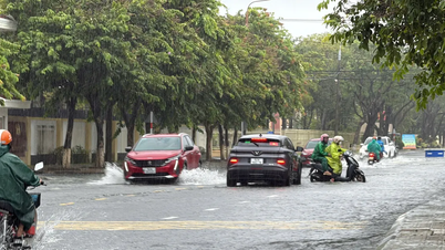 Heavy rain causes localized flooding in many areas south of Da Nang