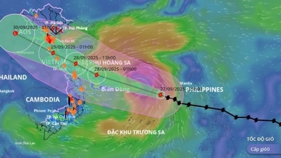 Implementer hasteoppgaver raskt for å reagere på storm nr. 10