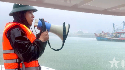 Da Nang City Military Command and Quang Ngai Province Military Command inspect preparations to respond to storm No. 10.