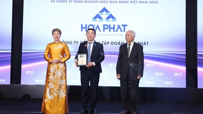 Hoa Phat in the Top 50 Most Effective Business Companies in Vietnam for the 14th consecutive year