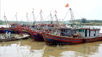 Hưng Yên hoàn thành sắp xếp tàu thuyền tránh trú bão trước 16 giờ ngày 27/9