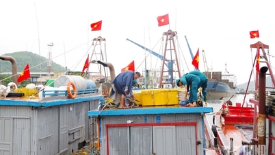 El Primer Ministro solicitó responder proactivamente al más alto nivel a la tormenta Bualoi.