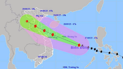 Khanh Hoa Provincial People's Committee issued an Official Dispatch to respond to storm No. 10.