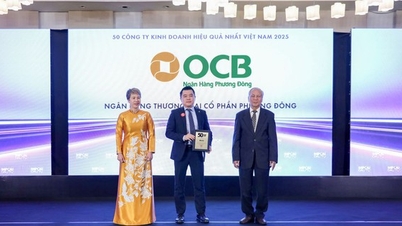 OCB honored in Top 50 most effective business companies in Vietnam