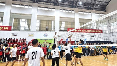 Hơn 1.000 VĐV tham gia Hội thao chào mừng Đại hội đại biểu Đảng bộ tỉnh Gia Lai
