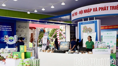 Display, introduce and promote technology products and OCOP products at the Provincial Party Congress