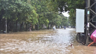 Quang Tri ensures safety at landslide and flood risk areas