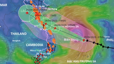 Overview of storm No. 10 Bualoi, assessment of landfall time and area