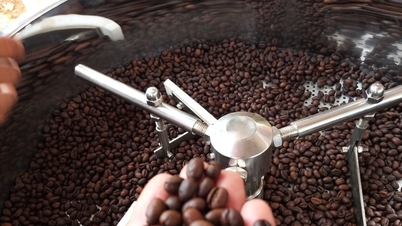 Coffee price today September 27, 2025: Turning down again