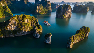 Đánh thức rồng tiên
