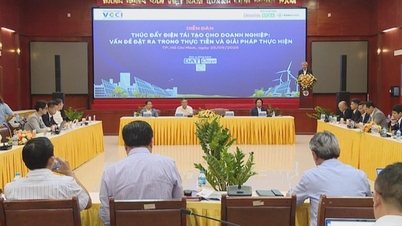 Năng lượng tái tạo: Mở ra cơ hội lớn cho doanh nghiệp Việt Nam