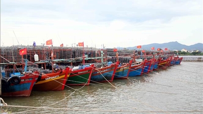 Quang Tri, 10 numaralı fırtınaya ve yoğun yağışa proaktif bir şekilde yanıt veriyor