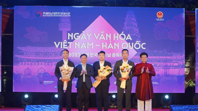 Opening van de Vietnam-Korea Culturele Dag in Hue