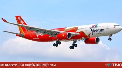 Vietjet, “2025'in Turistlere Hizmet Veren En İyi Havayolu Şirketi” ödülüne layık görüldü