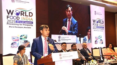 Vietnam ve Hindistan yeşil işleme modelini paylaşıyor