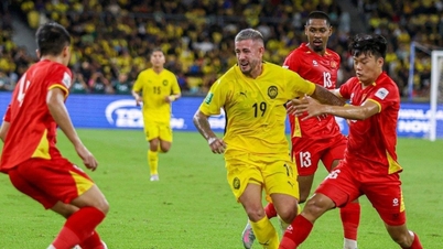 FIFAがマレーシアの帰化選手を調査するプロセスを明らかに