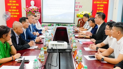 Conectarea și extinderea oportunităților de cooperare între Nghe An și întreprinderile maghiare