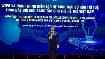 WIPO Director General: Vietnam is entering a new development chapter