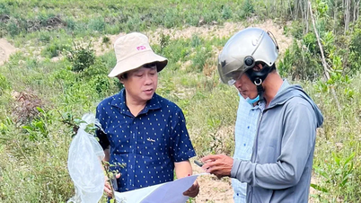 Gia Lai “đua nước rút” chuẩn bị khởi công 2 dự án trọng điểm quốc gia