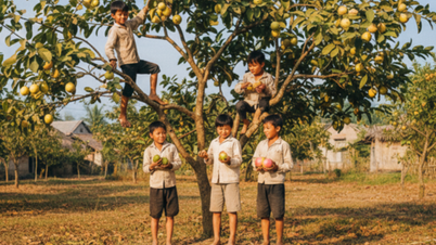 Missing guava season in my hometown!