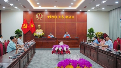Chính phủ họp bàn giải pháp triển khai Dự án hỗ trợ hạ tầng và kỹ thuật cho lúa chất lượng cao, phát thải thấp vùng ĐBSCL