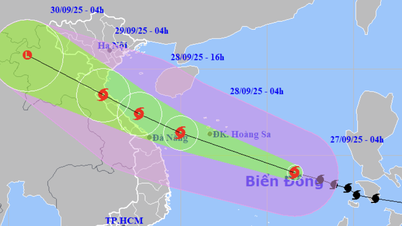 Hôm nay bão Bualoi mạnh thêm, khả năng vào Thanh Hóa - Quảng Trị tối mai